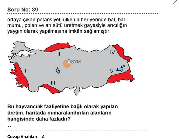 KPSS 2022 GENEL YETENEK VE GENEL KÜLTÜR SORU VE CEVAPLARI