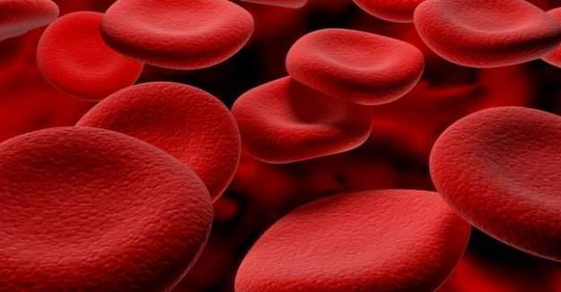 Türk Bilim İnsanları Yapay Kan Üretti
