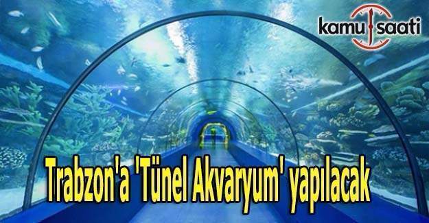 Trabzon'a 'Tünel Akvaryum' yapılacak