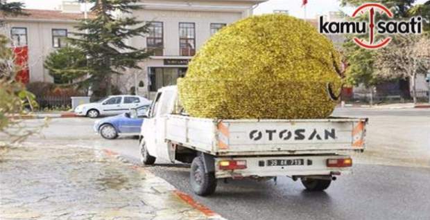 Kırklareli'de yılbaşı süsleri sökülüyor