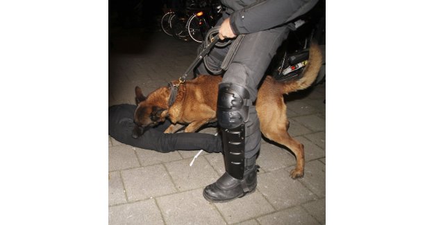 Hollanda polisi böyle zor kullandı
