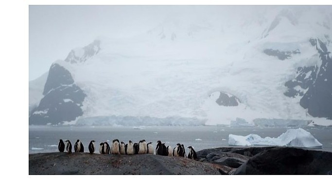 Bilim insanlarından 'Antarktika'yı koruyun' çağrısı