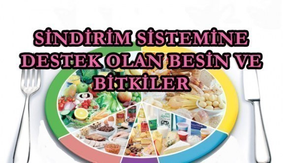 Uzmanından sindirim sistemine destek olan besin ve bitkiler