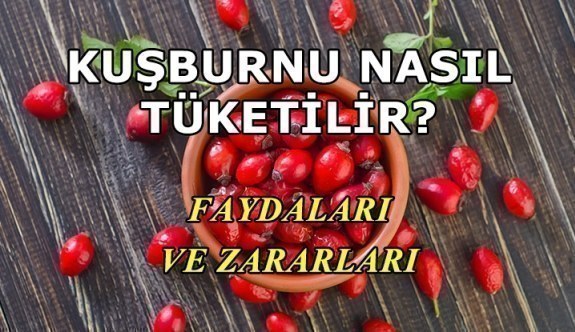 Kuşburnu nasıl tüketilir? Faydaları ve zararları