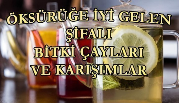 Öksürüğe iyi gelen şifalı bitki çayları ve karışımlar