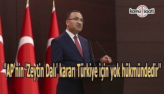 Bozdağ'dan AP'nin 'Zeytin Dalı' kararına tepki: Yok hükmündedir