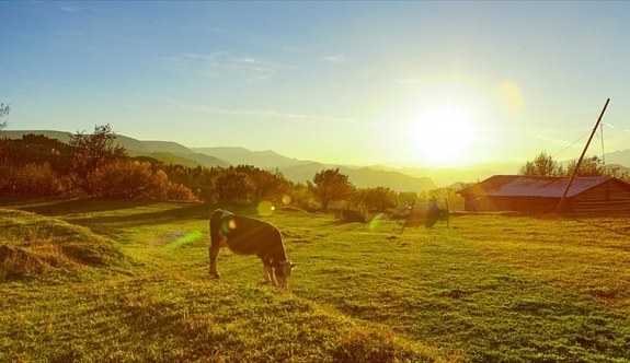 Meteoroloji Genel Müdürü Coşkun: Soğuk hava yarın yurdu terk edecek