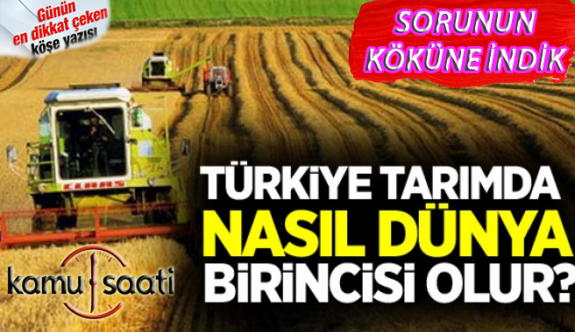 Türkiye Tarımındaki Sorunlar, Türkiye Tarımda Nasıl Dünya Birincisi Olur?