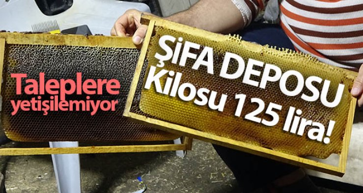 Şifa deposu Erciyes Keven Kekik Çiçek balının kilosu 125 lira! Taleplere yetişilemiyor