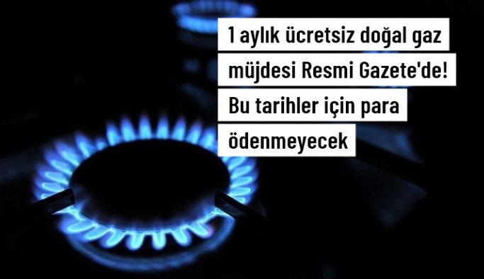 Konutlarda 1 ay boyunca doğal gaz bedeli alınmamasına ilişkin karar Resmi Gazete'de