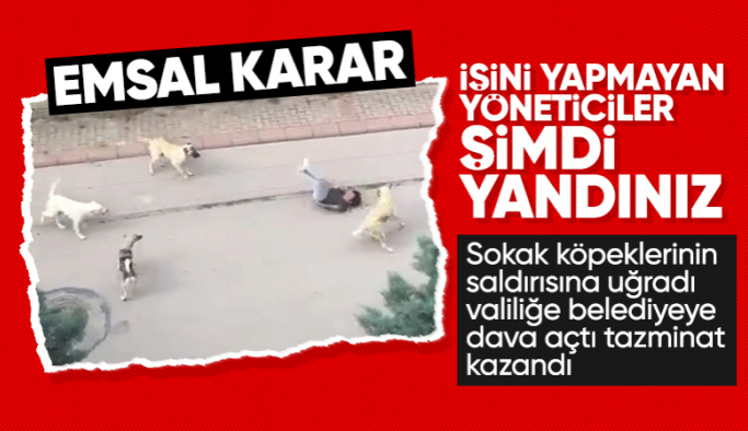 Antalya'da sokak köpeklerinin saldırısına uğrayan adam, açtığı davayı kazandı