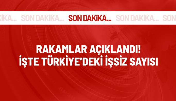 Son Dakika: Türkiye'deki işsiz sayısı 56 bin kişi azalarak 3 milyon 223 bin kişi oldu