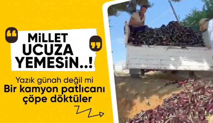 Antalya'da çiftçiler patlıcanları çöpe attı