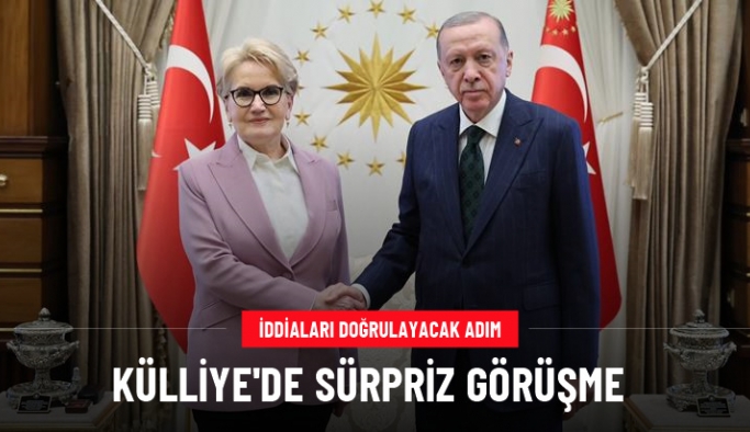 Cumhurbaşkanı Erdoğan,  İYİ Parti Eski Genel Başkanı Akşener'i kabul etti