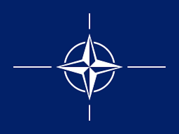 NATO'dan Kaza Değil İması