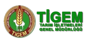 TİGEM Genel Müdür Yardımcılığına Vekaleten Mehmet Güleç atandı