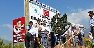 Mersin'de Şehit Ömer Halisdemir hatıra ormanı yapılıyor
