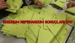 Erzurum referandum sonuçları 2017 - Evet, hayır oy oranları