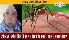 Zika Virüsü Nedir? Belirtileri Nelerdir?