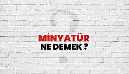 Minyatür Ne Demek, Ne Anlama Gelir? Minyatür Kelimesi Sözlük Anlamı Nedir?