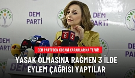 DEM Parti'den Kobani kararlarına tepki! Adana, Diyarbakır ve İstanbul için miting çağrısı yaptılar