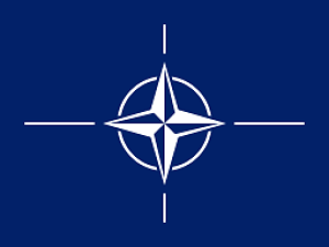 NATO'dan Kaza Değil İması